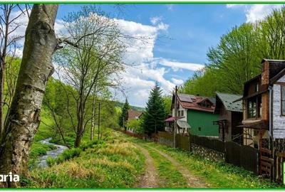 Teren de 394200 mp, în Măneciu - 1