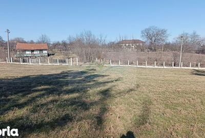 Teren de 4700 mp, în Brusturi - 8