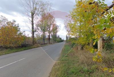 Teren 2,056mp Ciolpani - 2