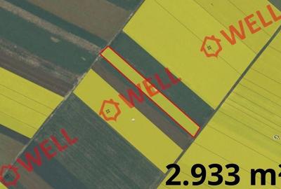 Teren extravilan de 71651 mp, în Chichiș - 3
