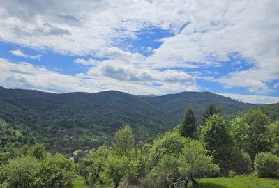 Teren de 5800 mp, în Avram Iancu - 4