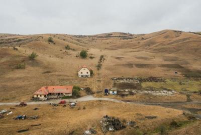 Teren de 540000 mp, în Măhăceni - 1