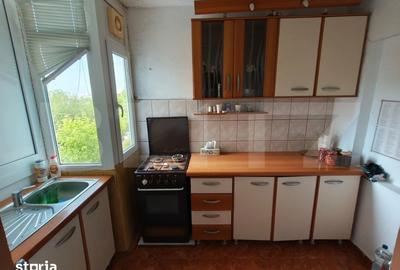 Apartament cu 3 camere decomandat în Craiovița Nouă - 6