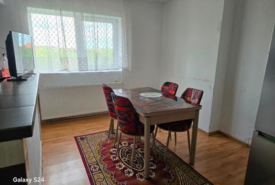 Apartament cu 2 camere decomandat în Remetea Mare - 6
