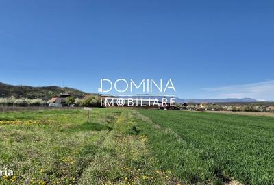 Spațiu comercial, în Tămășești - 5