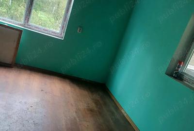 Vand casa cu gradina - 3