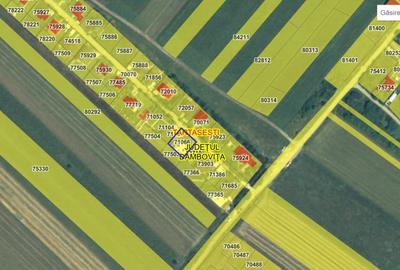 Casă individuală cu 7 camere cu Teren 800 Mp în Tărtășești - 7