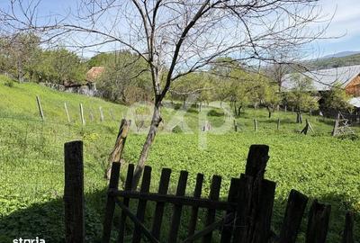 Spațiu comercial, în Bârseștii de Sus - 7