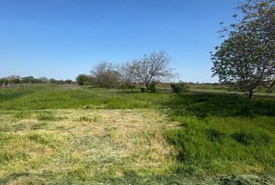 Teren de 3431 mp, în Vânători - 1