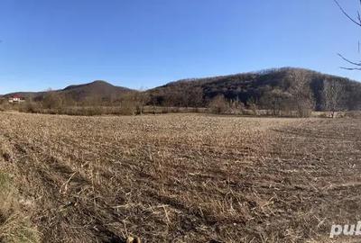 Teren de 8800 mp, în Dej - 4