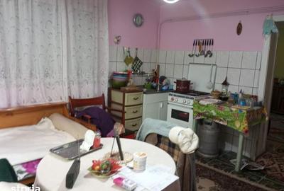 Casă cu 3 camere cu Teren 3320 Mp în Căpușu Mare - 10