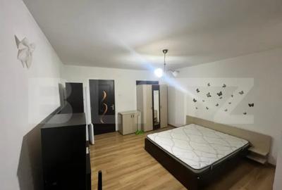 Garsonieră semidecomandată în Brazda lui Novac - 3