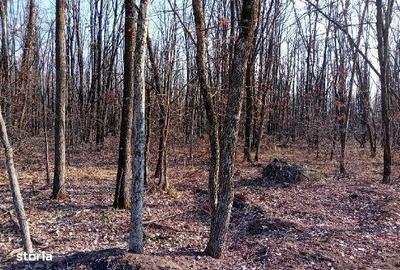 Spațiu comercial, în Bumbueni - 3