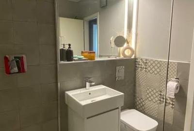 Apartament cu 2 camere decomandat, mobilat în Banu Manta - 11