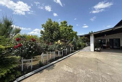 Casă individuală cu 10 camere cu Teren 4000 Mp în Centură - 9