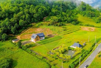 Cabana de vis la poalele Muntilor ?ible? schimb cu apar... - 7