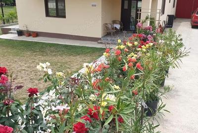 Casă cu 6 camere cu Teren 729 Mp în Căpățânești - 8