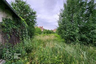 Casa la rosu, teren 7105 mp, Lipova - 5