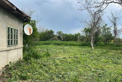 Casă cu 2 camere în Belciug - 1