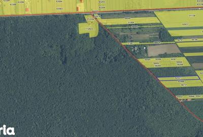 Teren de 4701 mp, în Gruiu - 3