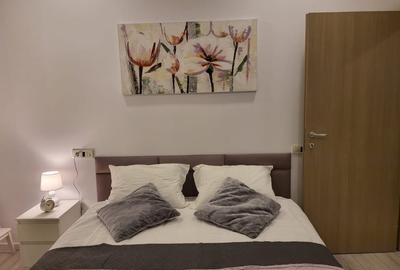 De inchiriat apartament 2 camere - Parcul Carol - 10