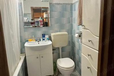 Apartament cu 2 camere decomandat în Ozana - 2