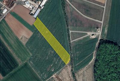 Teren în Ciolpani - 3