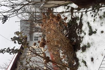 Casă cu 3 camere în Central - 3