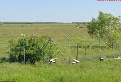 Teren agricol intravilan de 10 mp, în Sintea Mare - 5