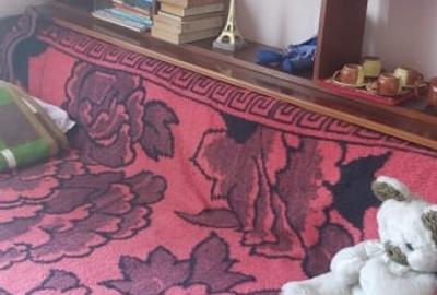 Casa unifamiliala de vanzare zona linistita Sighet - 8