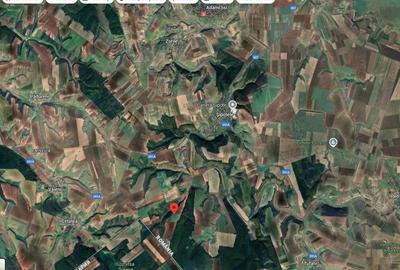 Teren de 18800 mp, în Deleni - 5
