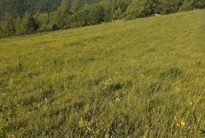 Spațiu comercial, în Vale - 5