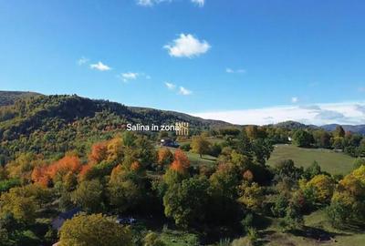 Teren intravilan 3500 mp Zona turistica Cacica Bucovina! - 1