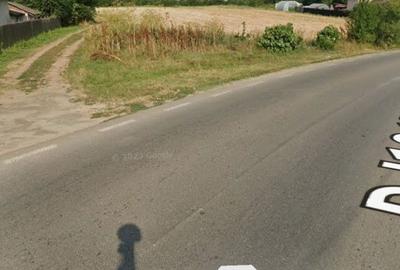 Teren de 4425 mp, în Lipia - 3