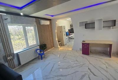 Casă cu Teren 6665 Mp în Poarta Albă - 5
