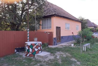 Casă cu 4 camere în Dipșa