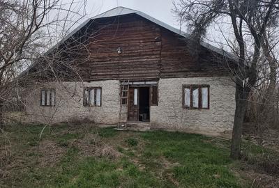 Casă cu 4 camere cu Teren 1700 Mp în Băbăița - 7