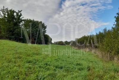 Teren de 3000 mp, în Central - 2