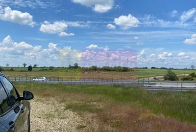 Teren agricol extravilan de 62600 mp, în Albota - 14