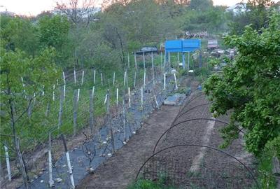 Teren de 2556 mp, în Central - 3