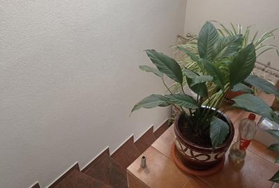 Vila individuala cu teren 1900 mp Parta - 8