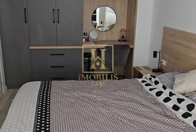 Apartament cu 2 camere decomandat, mobilat în Tătărași - 3
