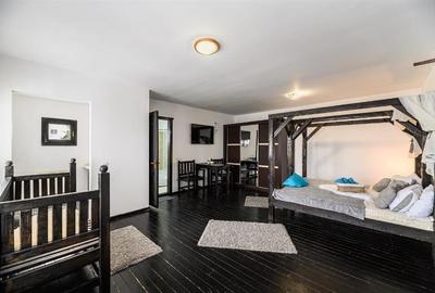 Aleasa Pensiune, pe 1.400 mp teren, in curcubeu montan, Bran - Poarta, Brasov - 11