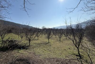 Spațiu comercial, în Central - 10