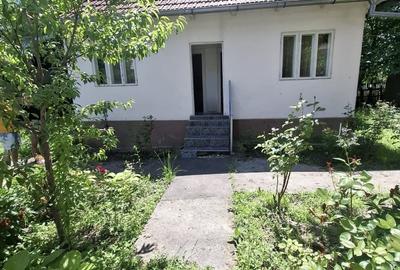 Casă individuală cu 3 camere cu Teren 3923 Mp în Govora - 5