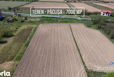 Teren de 6870 mp, în Totești - 4