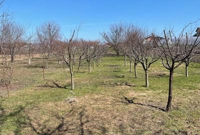 Casă cu 2 camere cu Teren 2500 Mp în Obor - 5