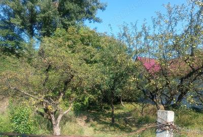 Vand casa cu curte(261m3) +gradina (781m3) Vand casa cu curte(261m3) +gradina (781m3) - 7