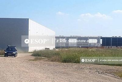 WDP Industrial Park Paulesti, hale de inchiriat, 2.500 - 14.150 mp - 3