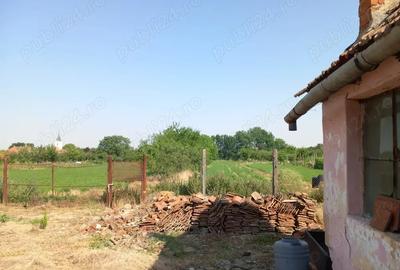 Casă cu 4 camere cu Teren 2877 Mp în Breștea - 4